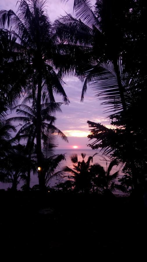 Paradise Palms كو تشانغ المظهر الخارجي الصورة