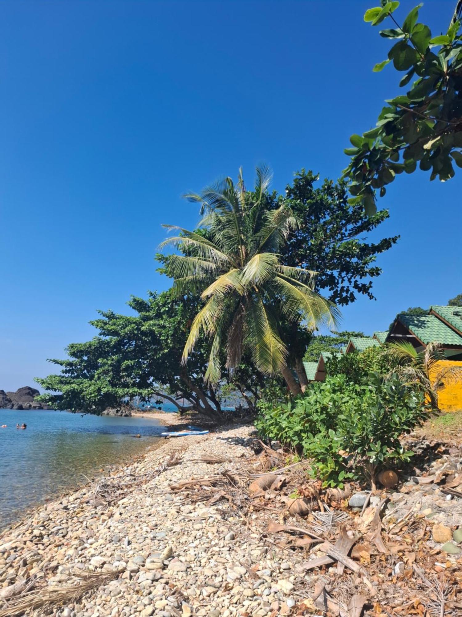 Paradise Palms كو تشانغ المظهر الخارجي الصورة