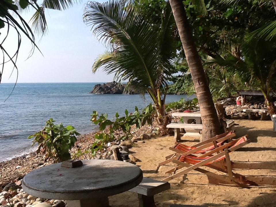 Paradise Palms كو تشانغ المظهر الخارجي الصورة