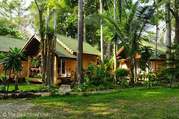Paradise Palms كو تشانغ المظهر الخارجي الصورة