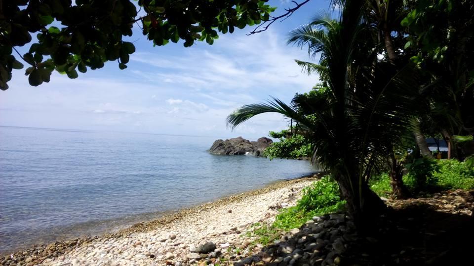 Paradise Palms كو تشانغ المظهر الخارجي الصورة