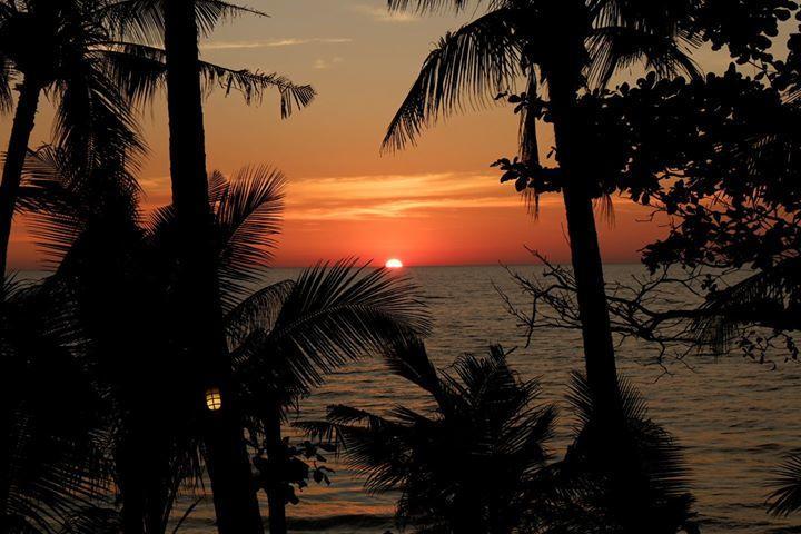 Paradise Palms كو تشانغ المظهر الخارجي الصورة