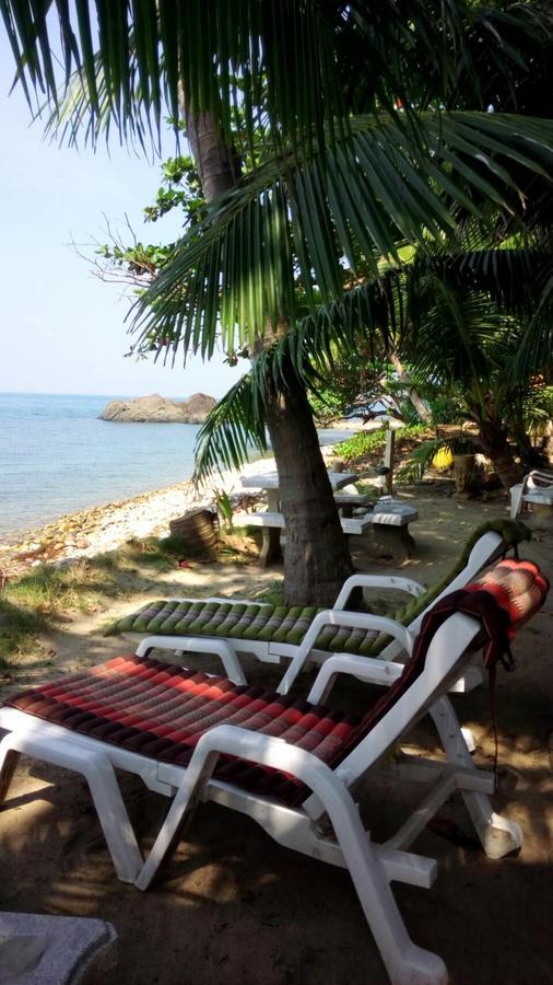Paradise Palms كو تشانغ المظهر الخارجي الصورة