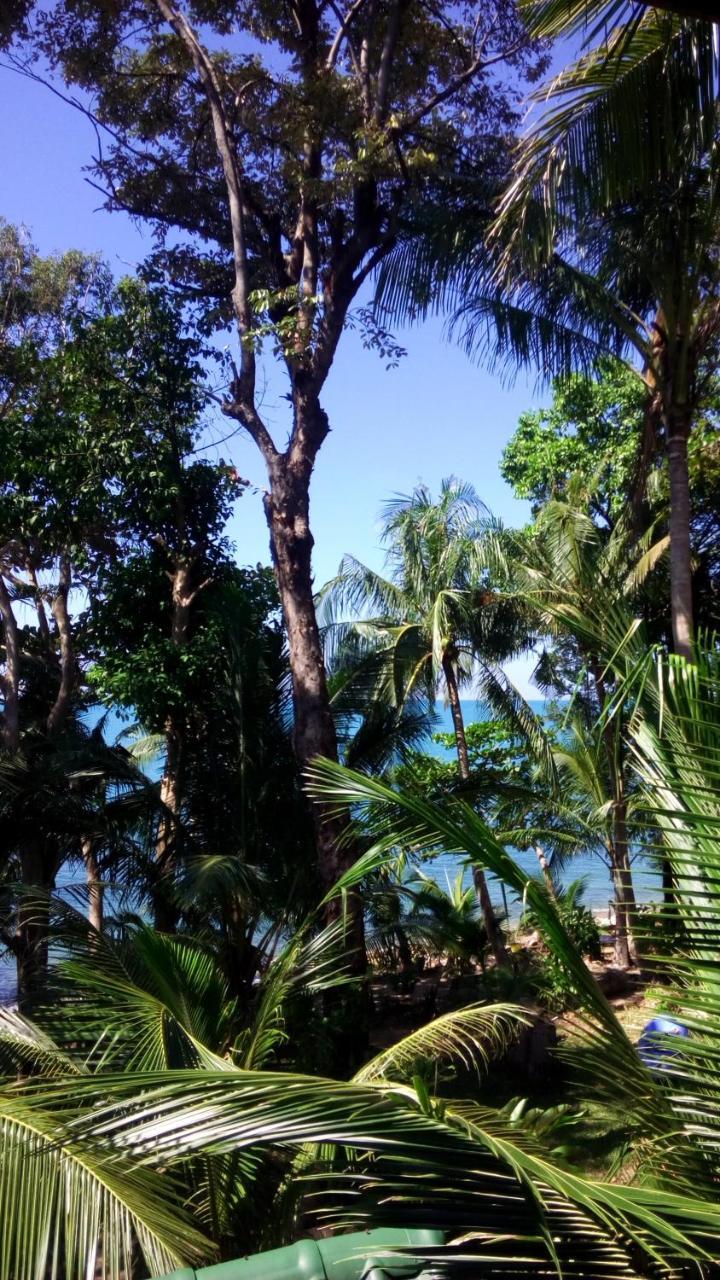 Paradise Palms كو تشانغ المظهر الخارجي الصورة
