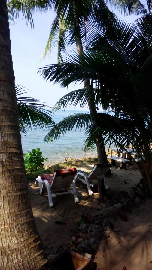 Paradise Palms كو تشانغ المظهر الخارجي الصورة