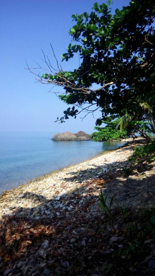 Paradise Palms كو تشانغ المظهر الخارجي الصورة