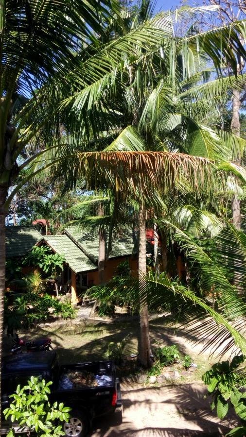 Paradise Palms كو تشانغ المظهر الخارجي الصورة