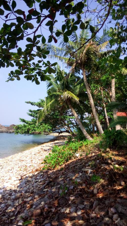 Paradise Palms كو تشانغ المظهر الخارجي الصورة
