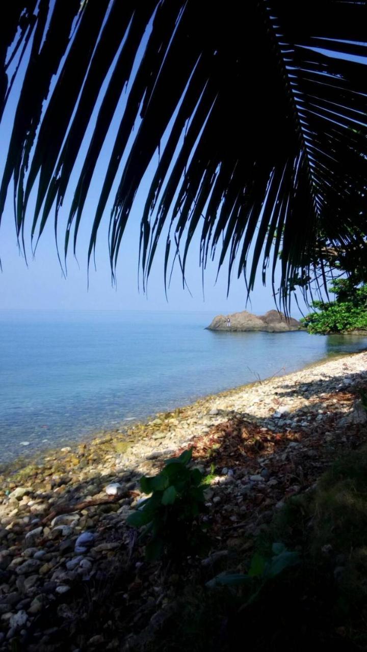 Paradise Palms كو تشانغ المظهر الخارجي الصورة
